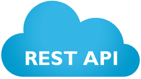 REST API icon